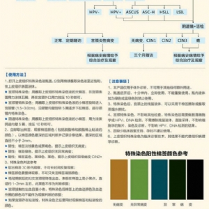 上皮組織染血液